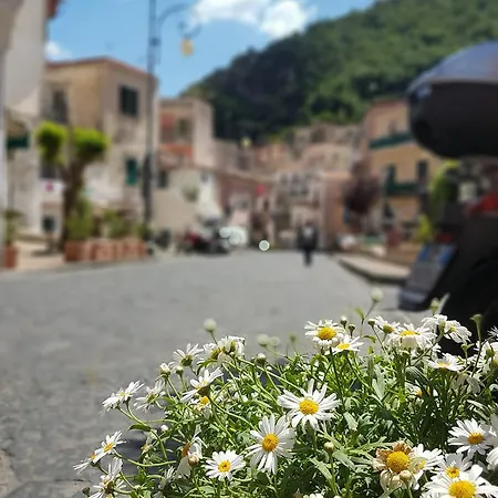 - Diffuso Bed and Breakfast Cetara
