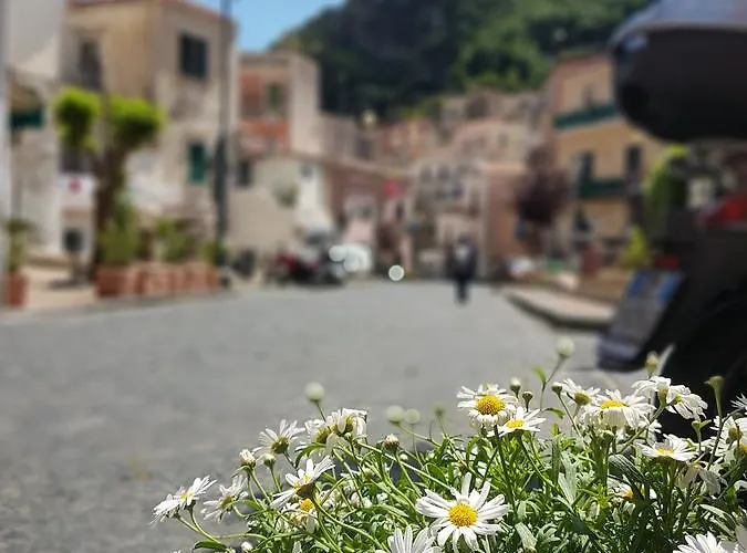 - Diffuso B&B 세타라