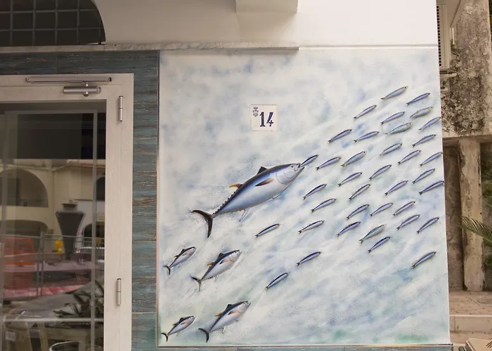 B&B - Diffuso 세타라